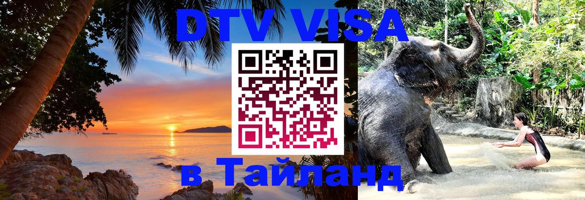 Оформление DTV визы под ключ: стоимость и тарифы, только загранпаспорт - Мурино 